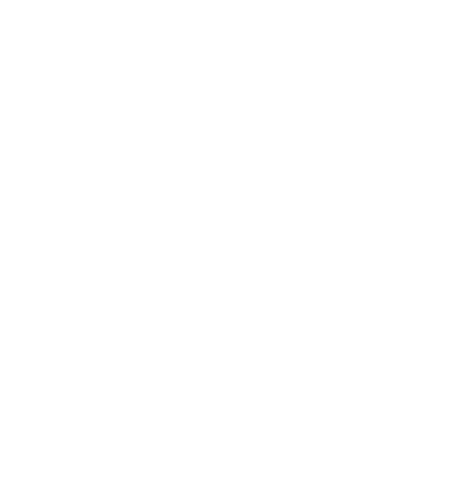 Royal Casino